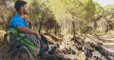 Adaptação climática em São Tomé e Príncipe