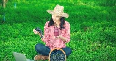 AgriTech em Cabo Verde 2026