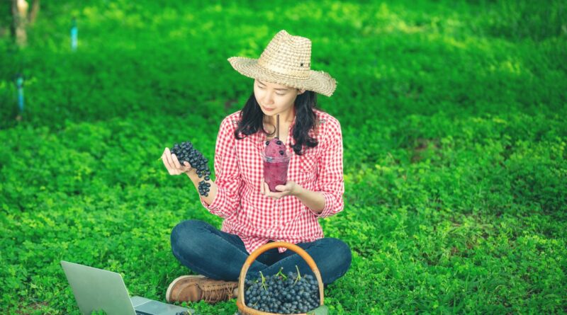 AgriTech em Cabo Verde 2026