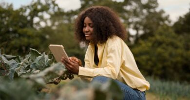 AgriTech em São Tomé e Príncipe