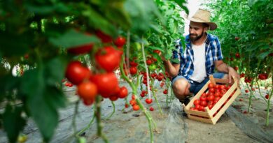 AgriTech na Guiné-Bissau