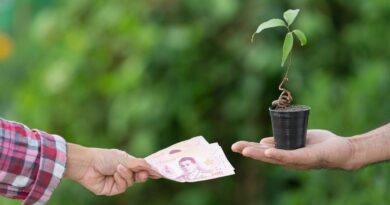 Finanças Verdes Timor-Leste