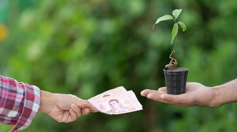 Finanças Verdes Timor-Leste