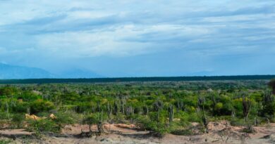Mineração e Minerais Críticos