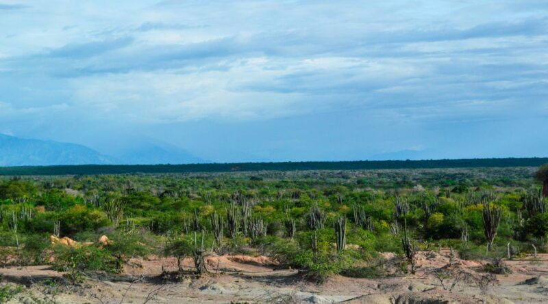 Mineração e Minerais Críticos