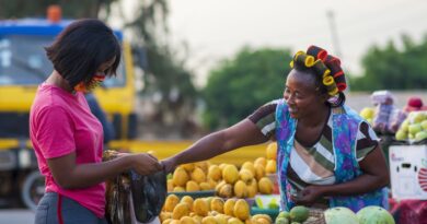 Negócios em Moçambique 2026