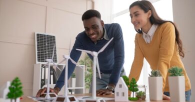 Projetos de Energia Verde Moçambique