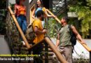 Crescimento do turismo cultura e hotelaria no Brasil em 2026