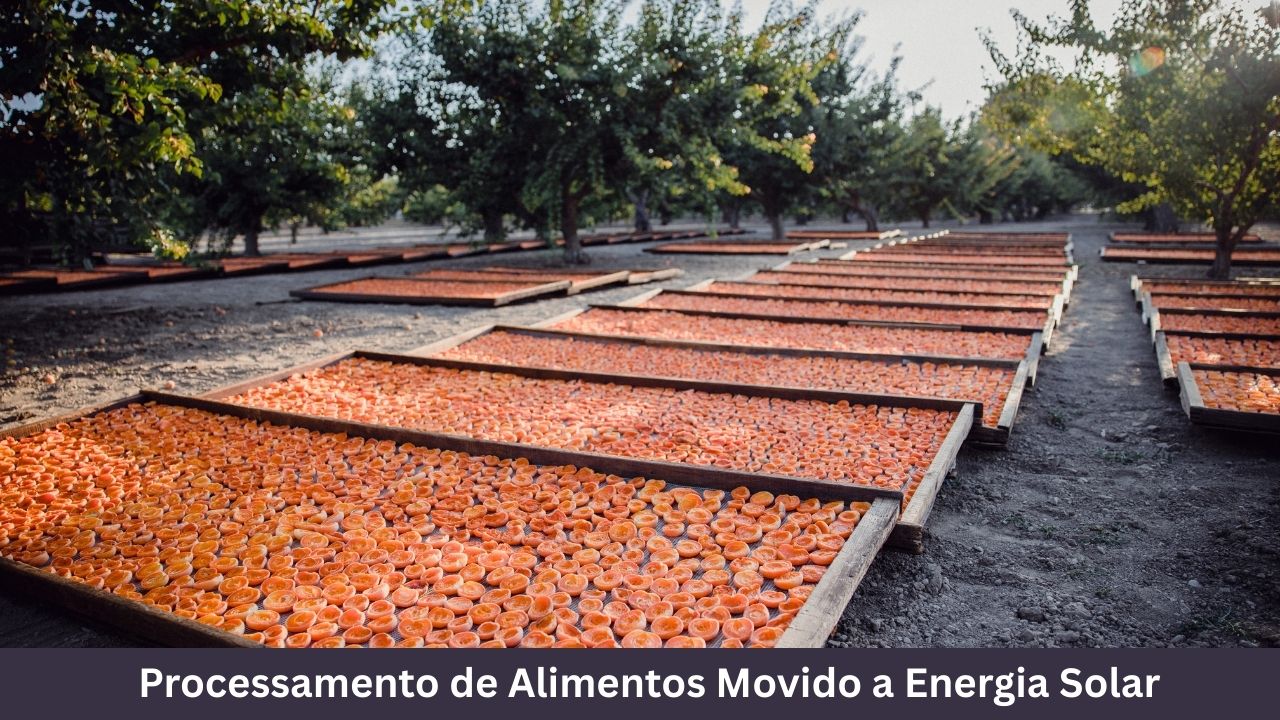 Processamento de Alimentos Movido a Energia Solar