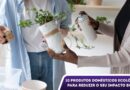 produtos domésticos ecológicos