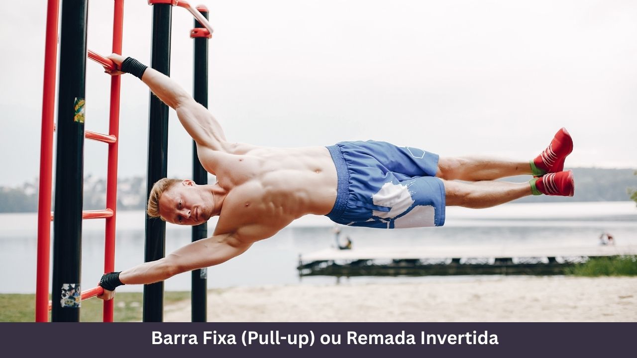 Barra Fixa (Pull-up) ou Remada Invertida