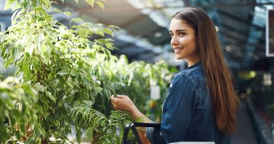 Escalar negócio sustentável