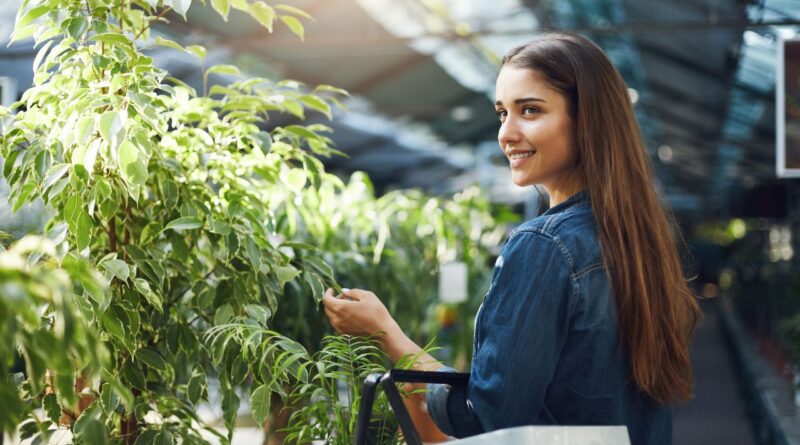 Escalar negócio sustentável