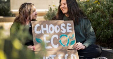 Greenwashing em Portugal