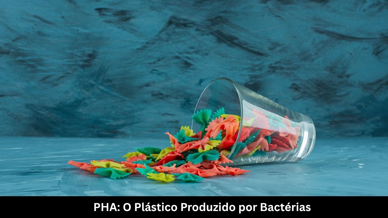 PHA O Plástico Produzido por Bactérias