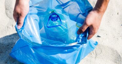 Plástico de utilização única