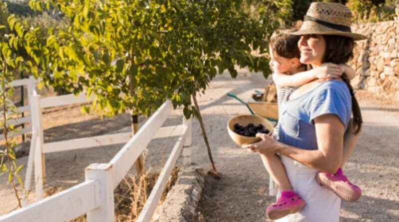 Turismo Rural e Agroturismo em Portugal