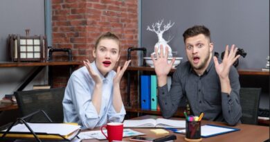 中国创业者可持续增长