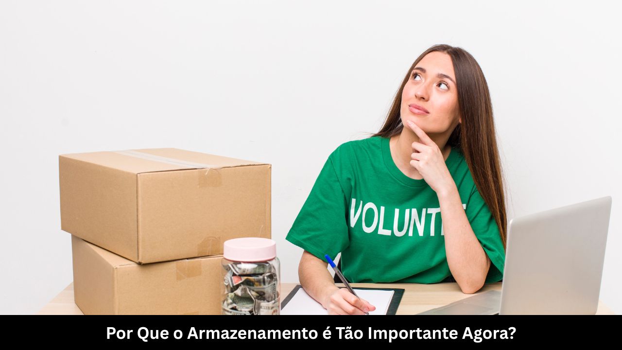 Por Que o Armazenamento é Tão Importante Agora
