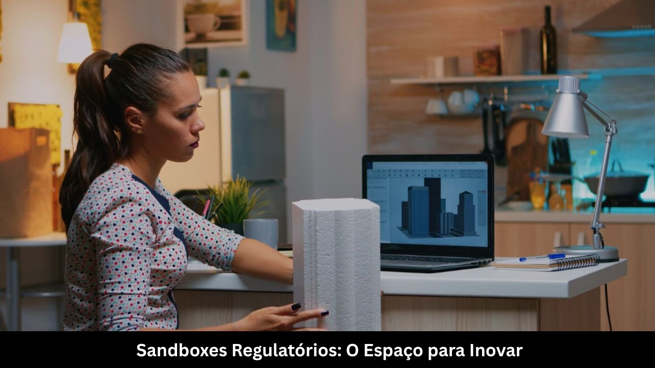 Sandboxes Regulatórios O Espaço para Inovar