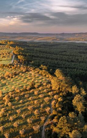 certificações ecológicas portugal