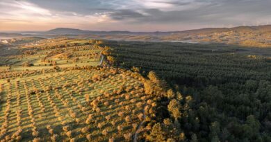 certificações ecológicas portugal