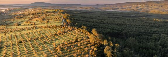 certificações ecológicas portugal