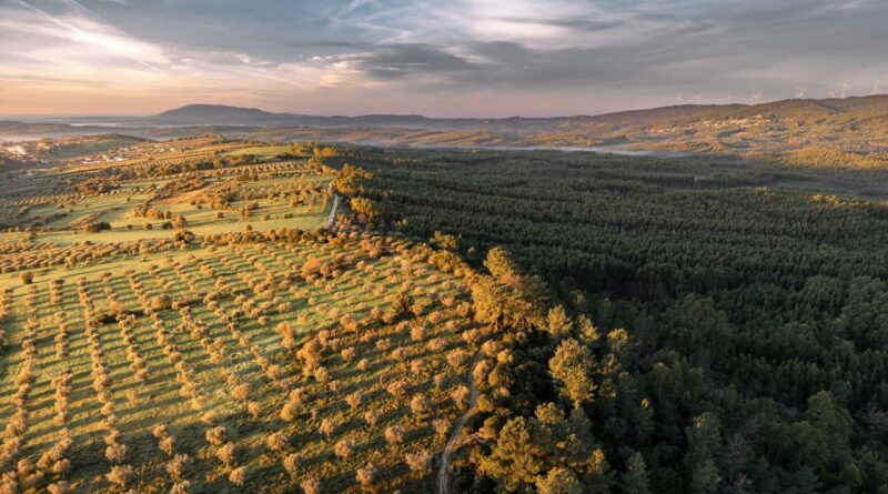 certificações ecológicas portugal