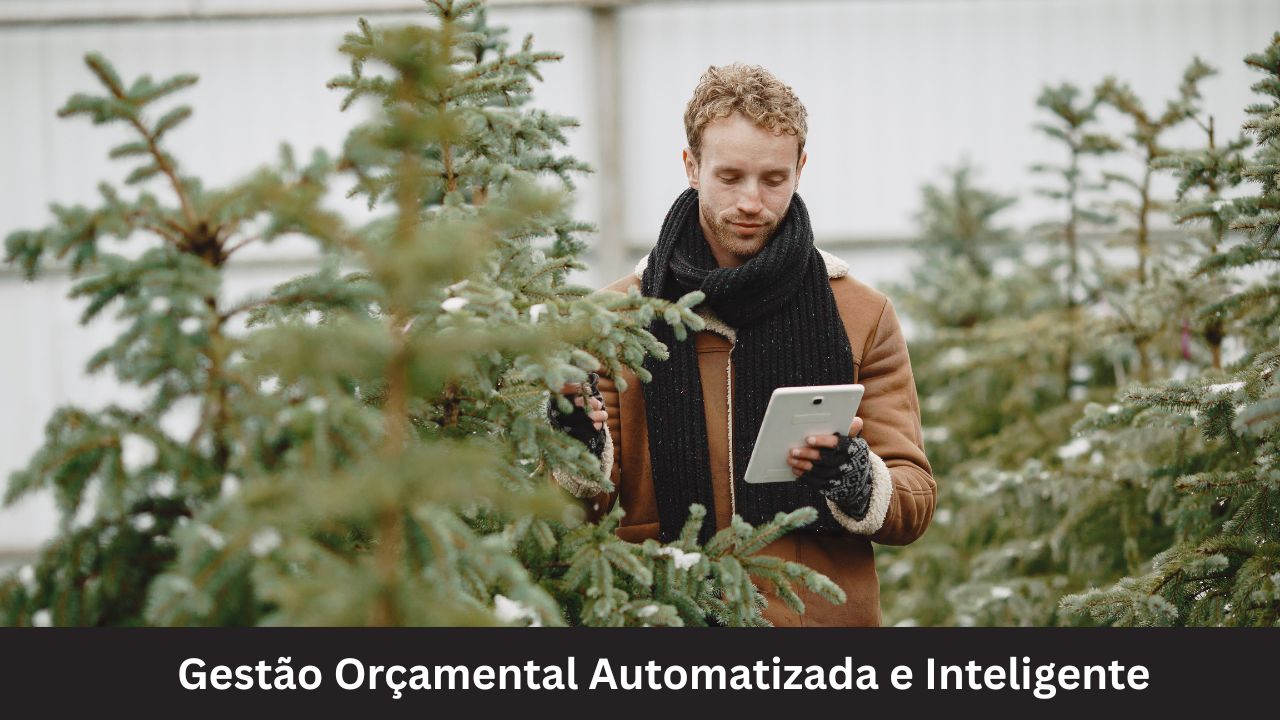 Gestão Orçamental Automatizada e Inteligente