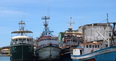 viajar com crianças pequenas