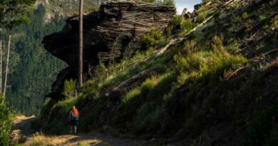 Onde o silêncio se torna caminho: Caminho de Santiago