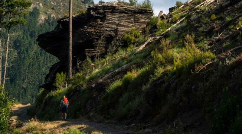 Onde o silêncio se torna caminho: Caminho de Santiago